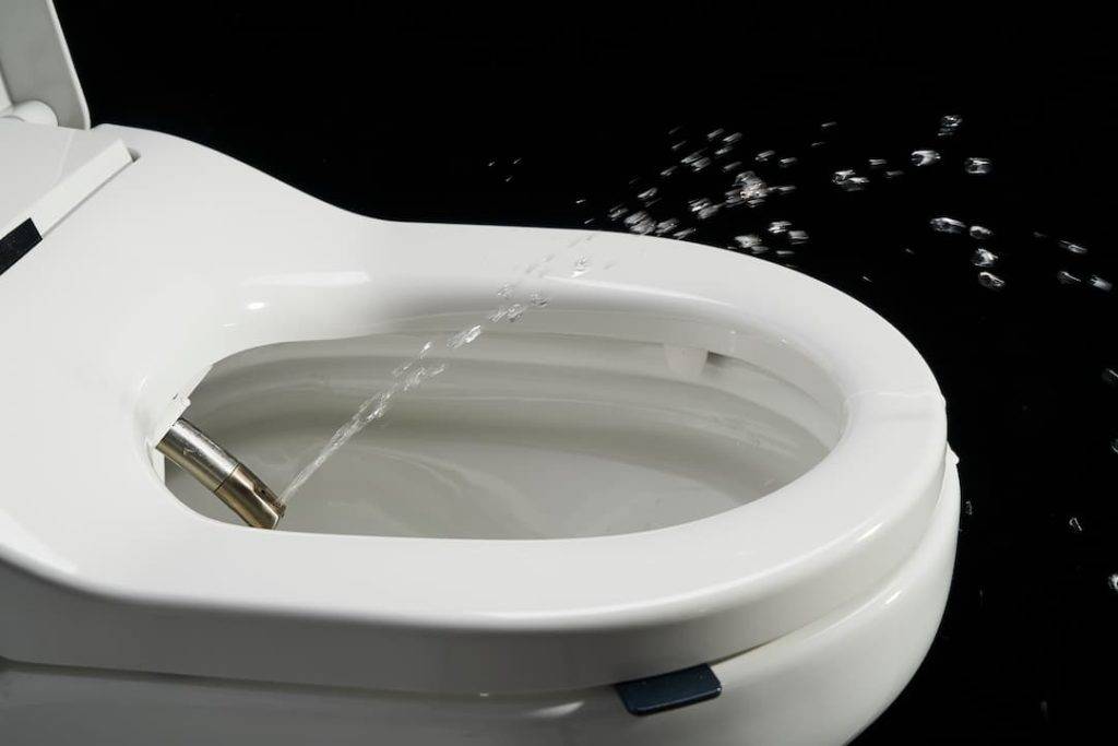 Bidet toilet spray function